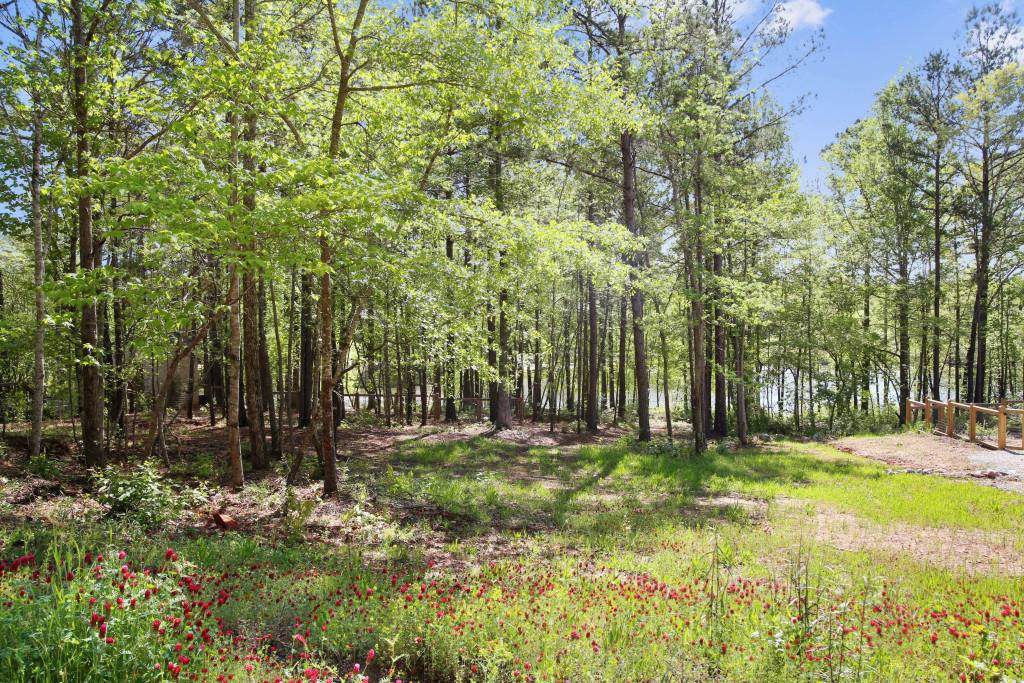 10756 Serenbe Lane - Photo 1