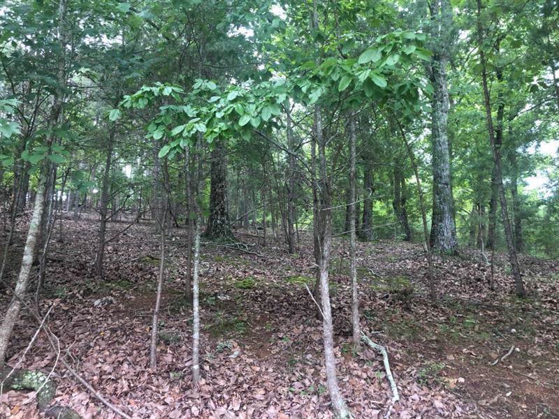 3175 Deepwater Drive - Photo 1