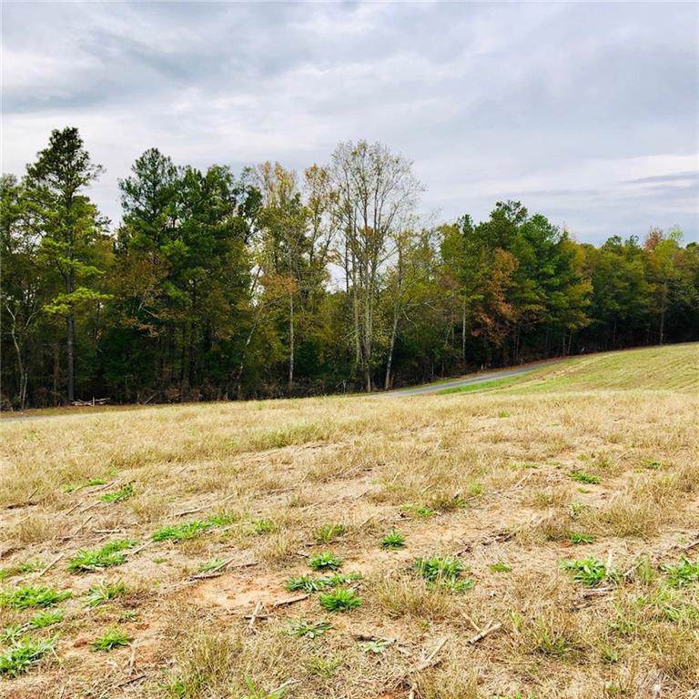 Lot 2 Saggus Rd - Photo 1
