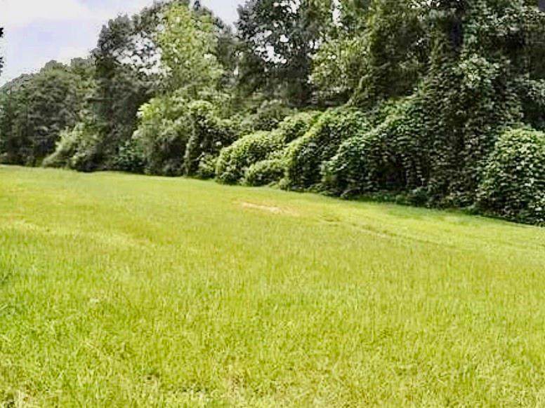 1176 County Line Road - Photo 1