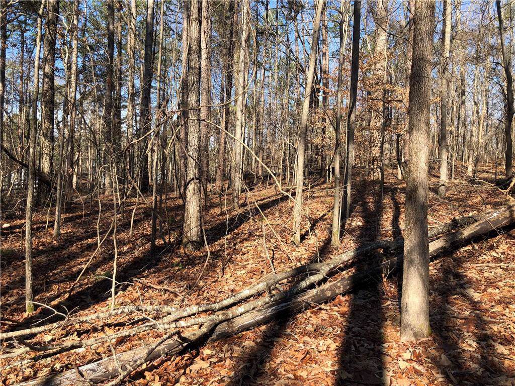 3405 Galts Road - Photo 1