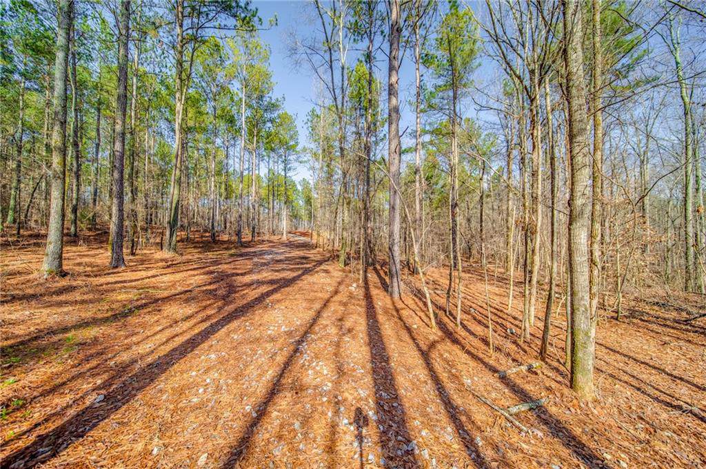 2529 Shockley Springs Drive - Photo 1