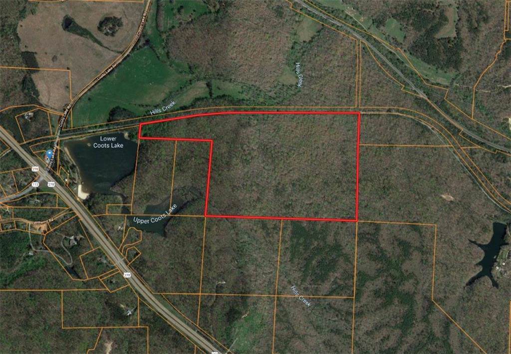 0 Coots Lake Road - Photo 1