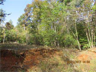 0 Odum Chumbley Road - Photo 1