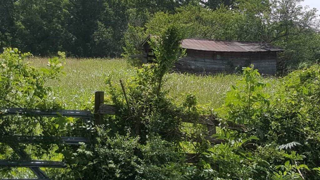 0 Sweetwater Juno Road - Photo 1