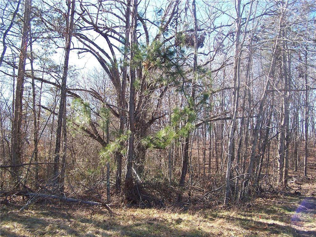 04 Nix Bridge Park Road - Photo 1
