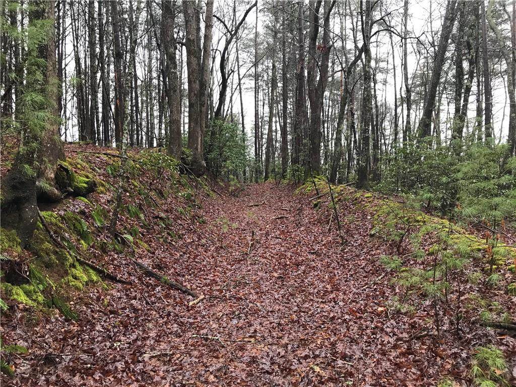2 & 3 Turniptown Road - Photo 1