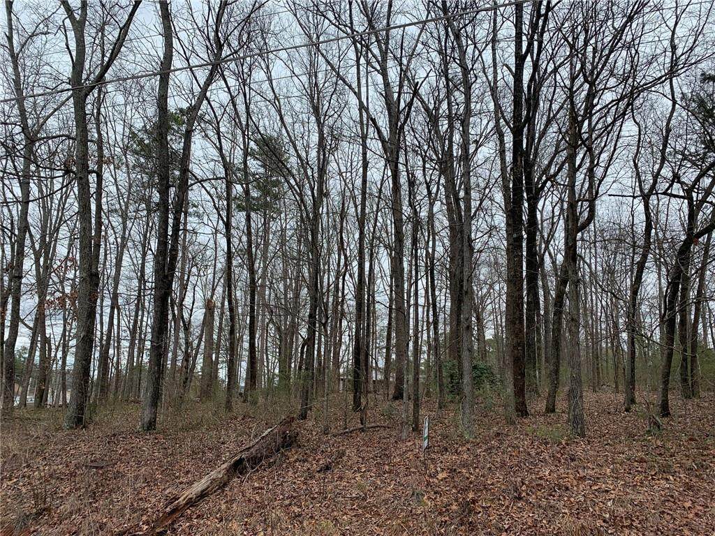 30 Roving Road - Photo 1