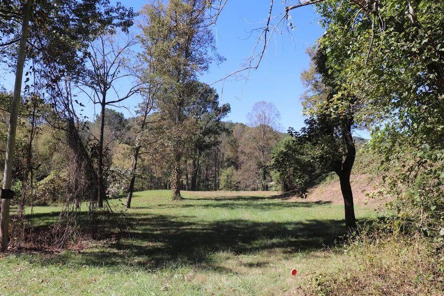 0 Tails Creek Road - Photo 1
