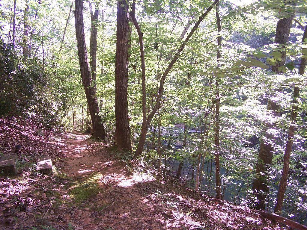 5520 Hidden Harbor Trail - Photo 1