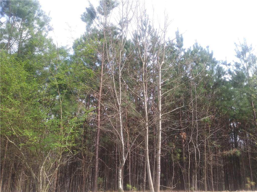 L 9083 Morgan Walk - Photo 1