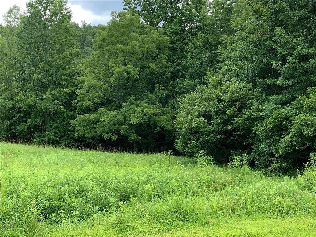 Lot 83 Chestatee Drive - Photo 1