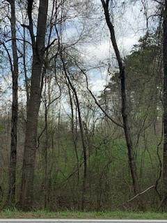 3427 Noahs Ark Road - Photo 1