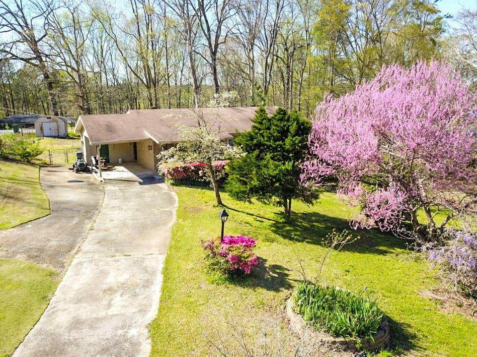 3730 Cherokee Trails Drive - Photo 1