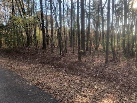 Tr 9 Hap Holt Road - Photo 1