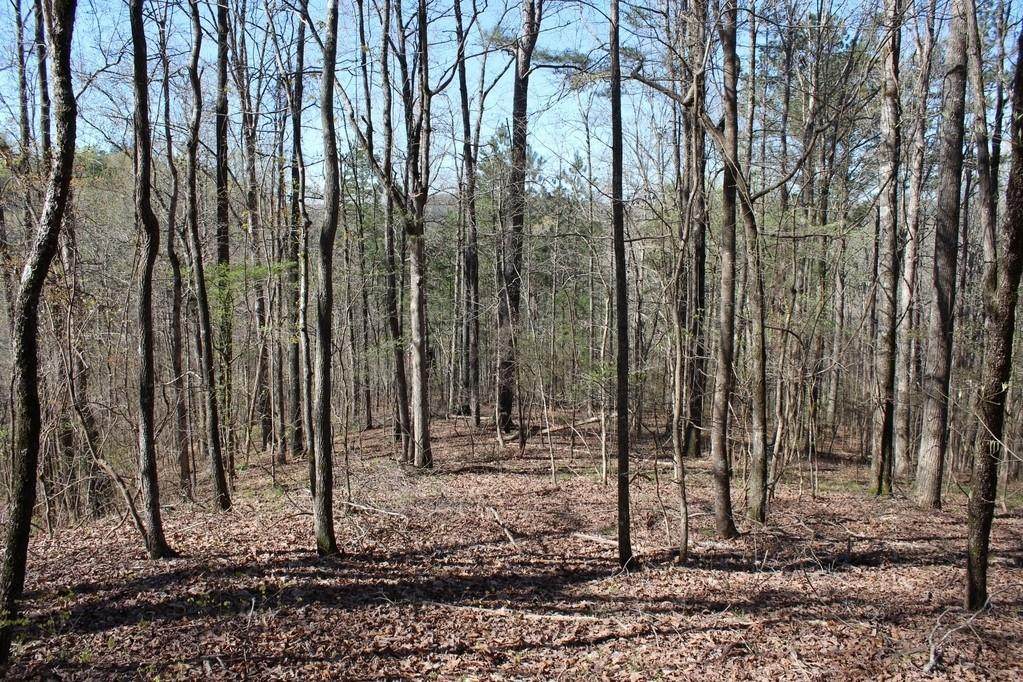 1725 Cherokee Gold Trail - Photo 1 1725 Cherokee Gold Trail - Photo 1