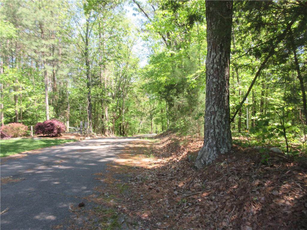 0 Ledbetter Road - Photo 1