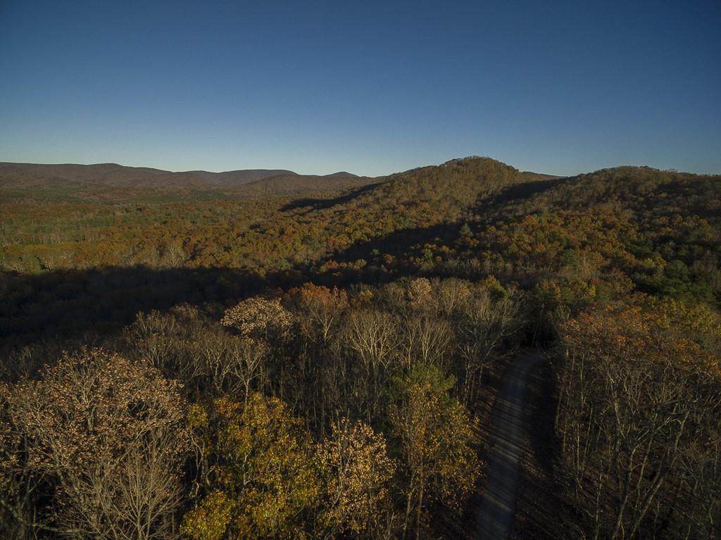 24 Tanager Trail - Photo 1