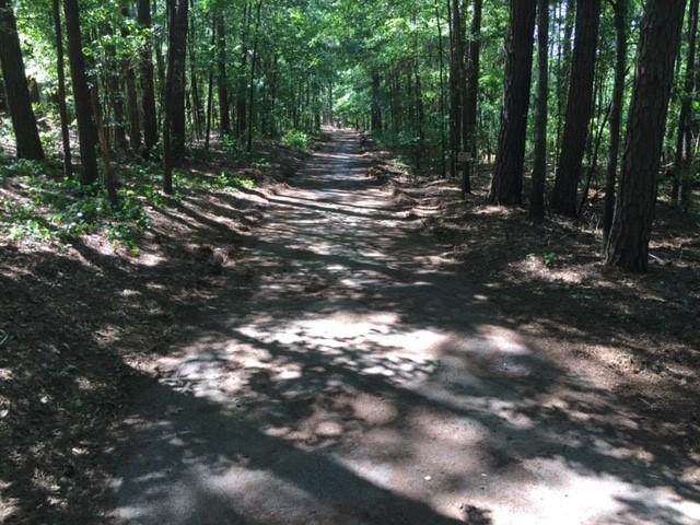 2210 Highway 11 - Photo 1