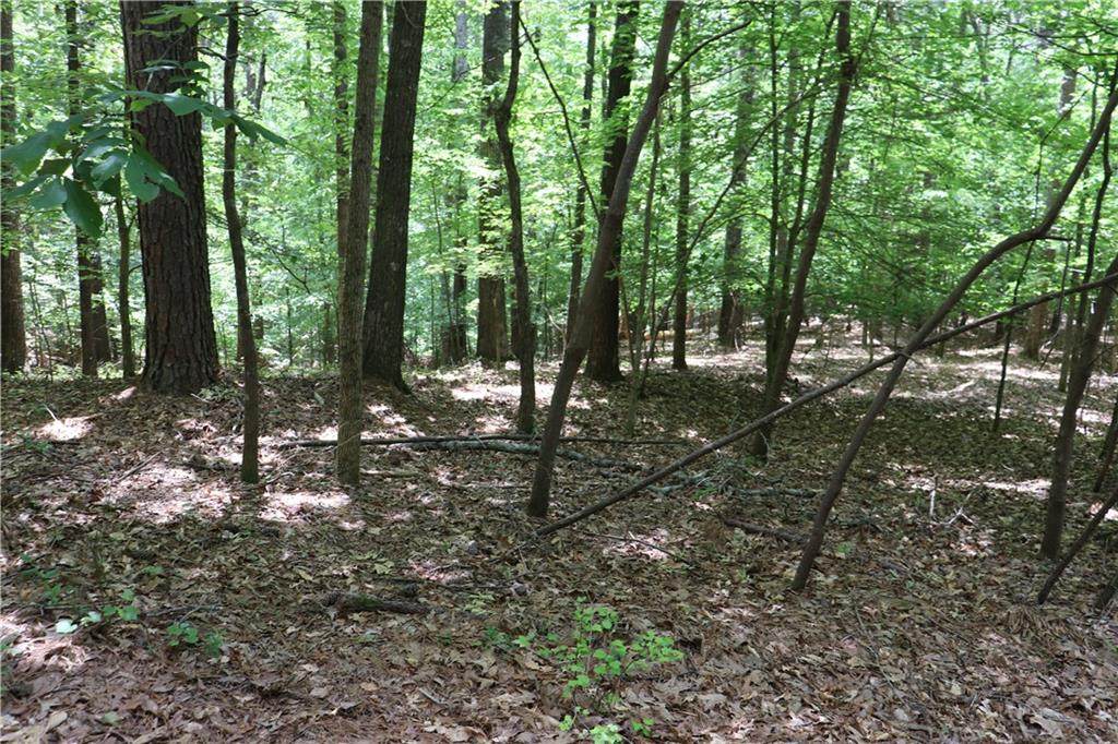 0 Rabke Road - Photo 1