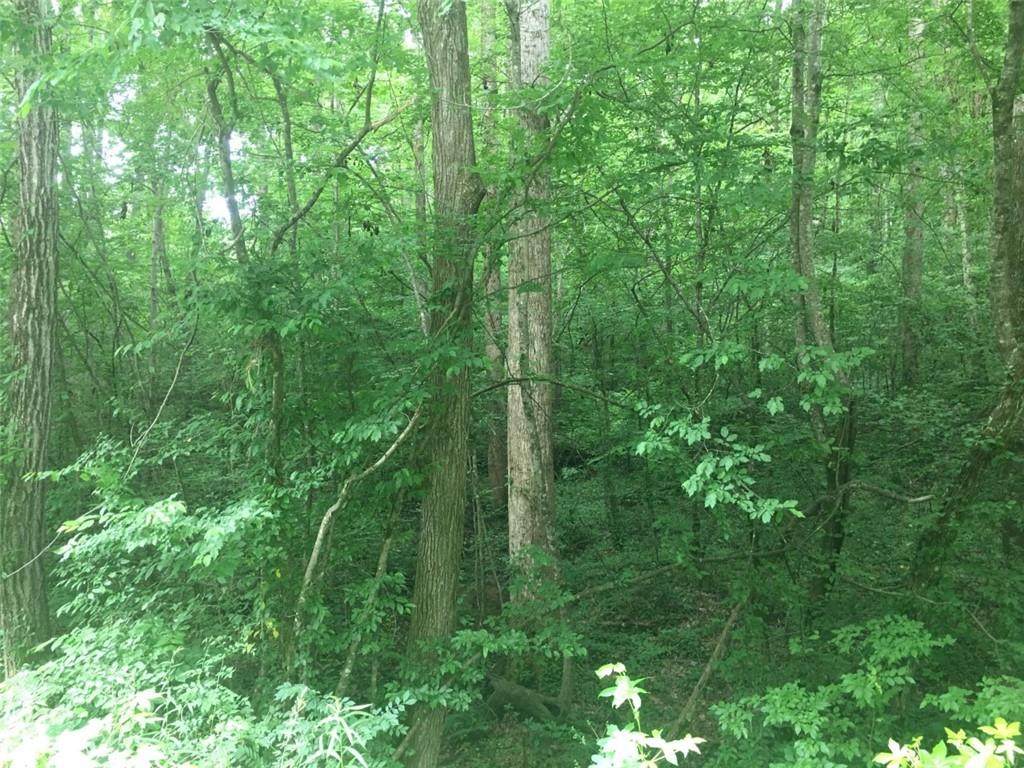 0 Hurt Bridge Drive - Photo 1