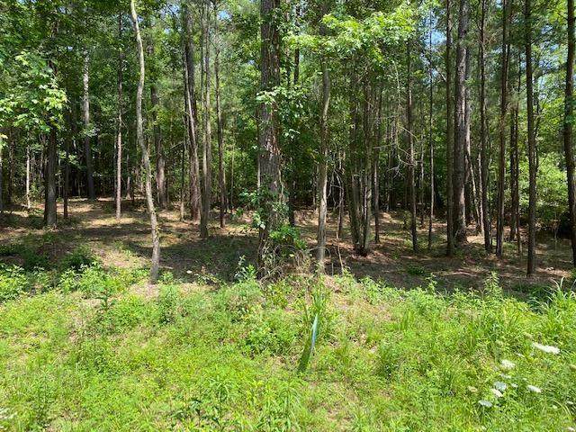 1755 Ammons Bridge Road - Photo 1