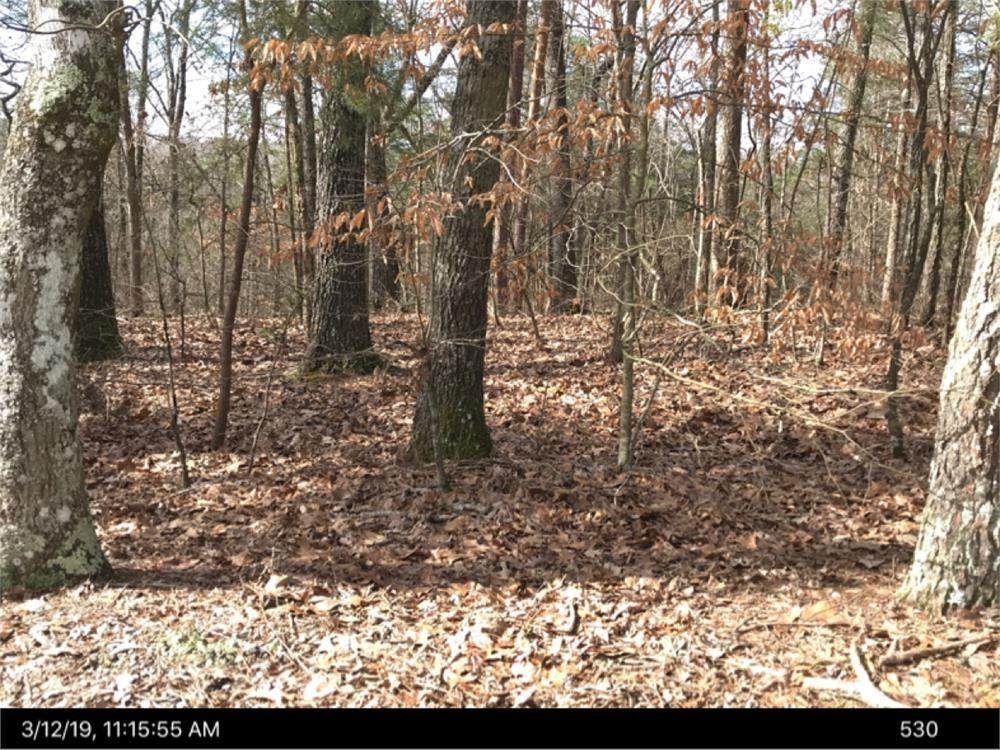 186 Grant Point - Photo 1