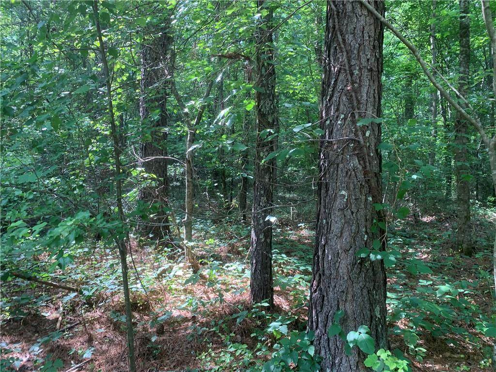 675 Cotton Road - Photo 1