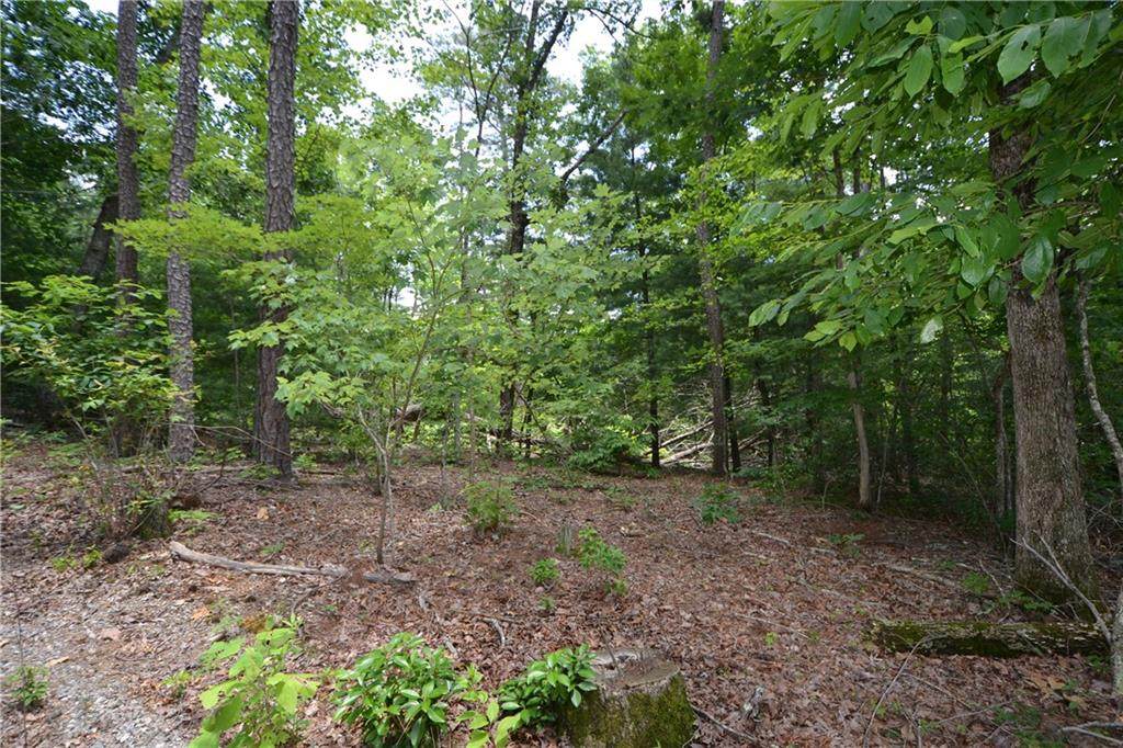 9A Whispering Oaks Lane - Photo 1
