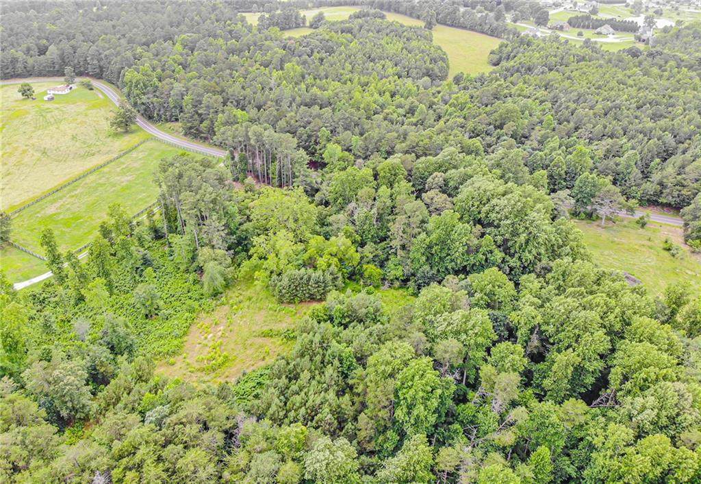 7782 Persimmon Tree Road - Photo 1