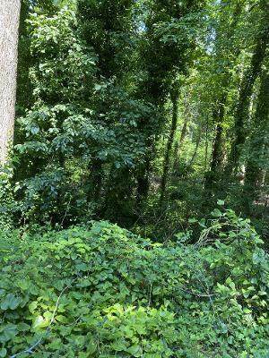 4041 Skyline Drive - Photo 1