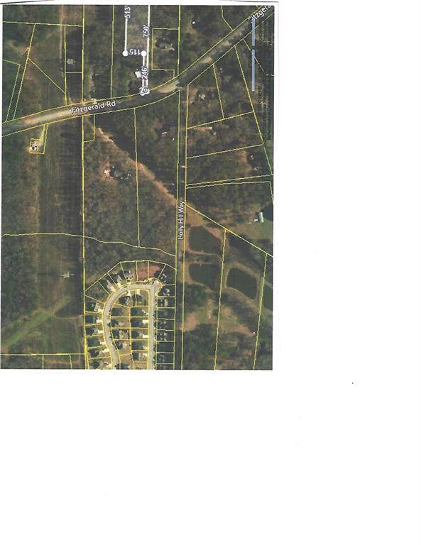 0 Fitzgerald Road - Photo 1