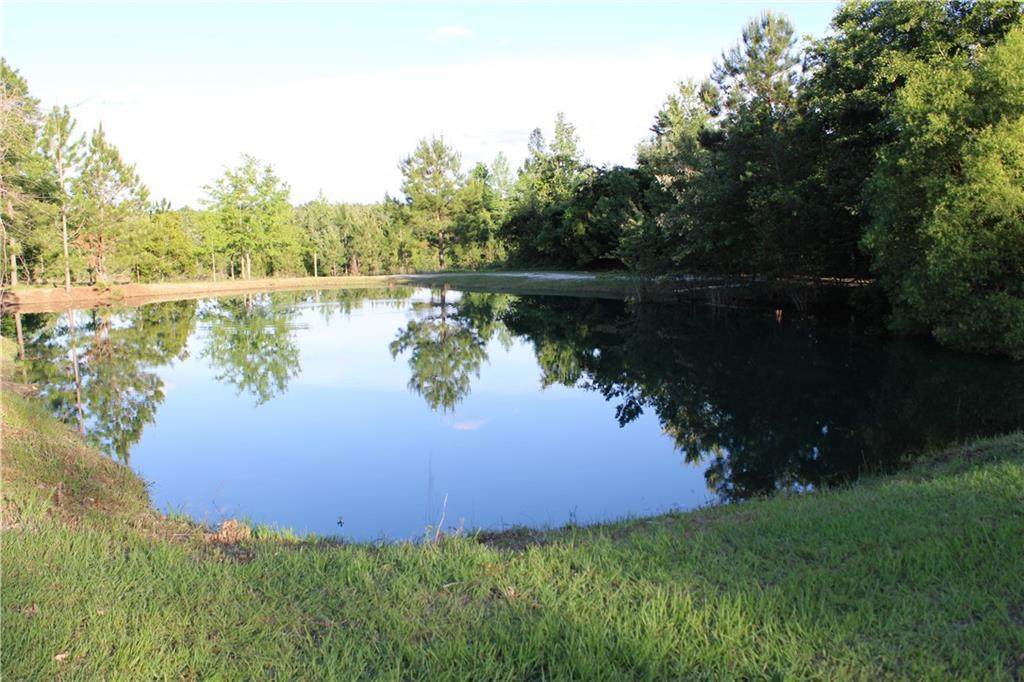 505B Lulaville Road - Photo 1