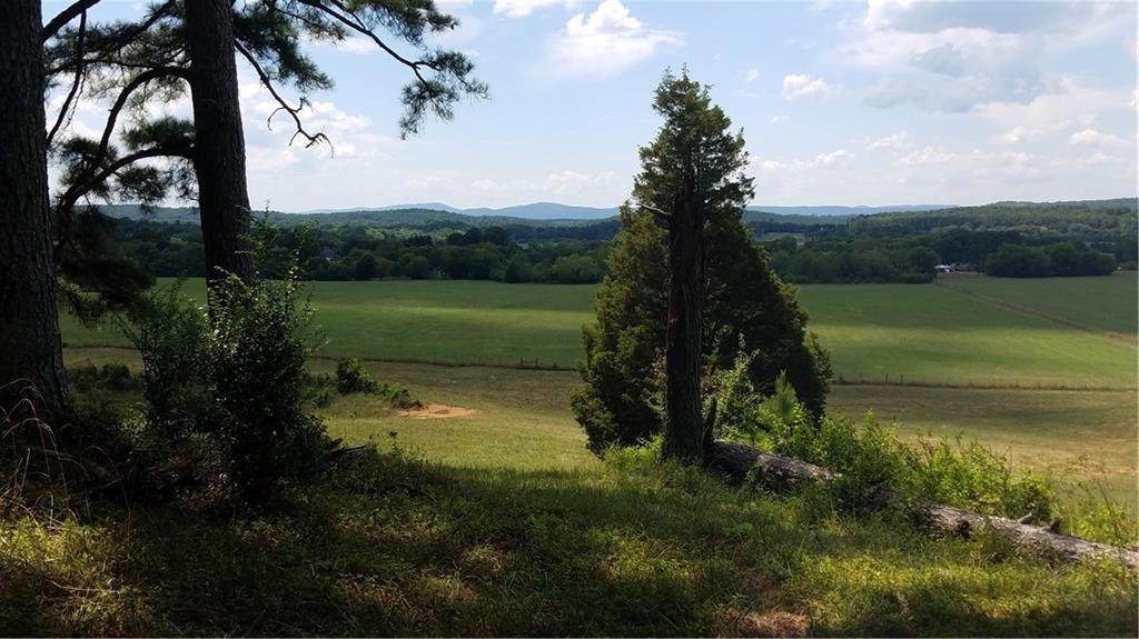 0 Ward Mountain Road - Photo 1