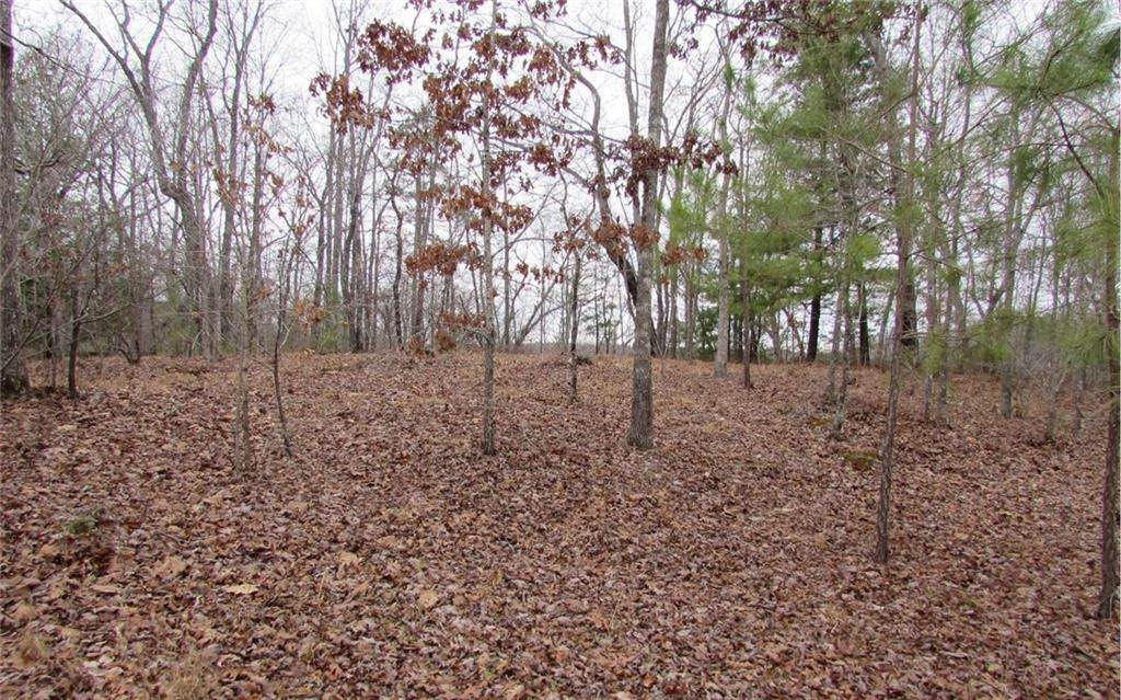 107 Harris Creek Drive - Photo 1