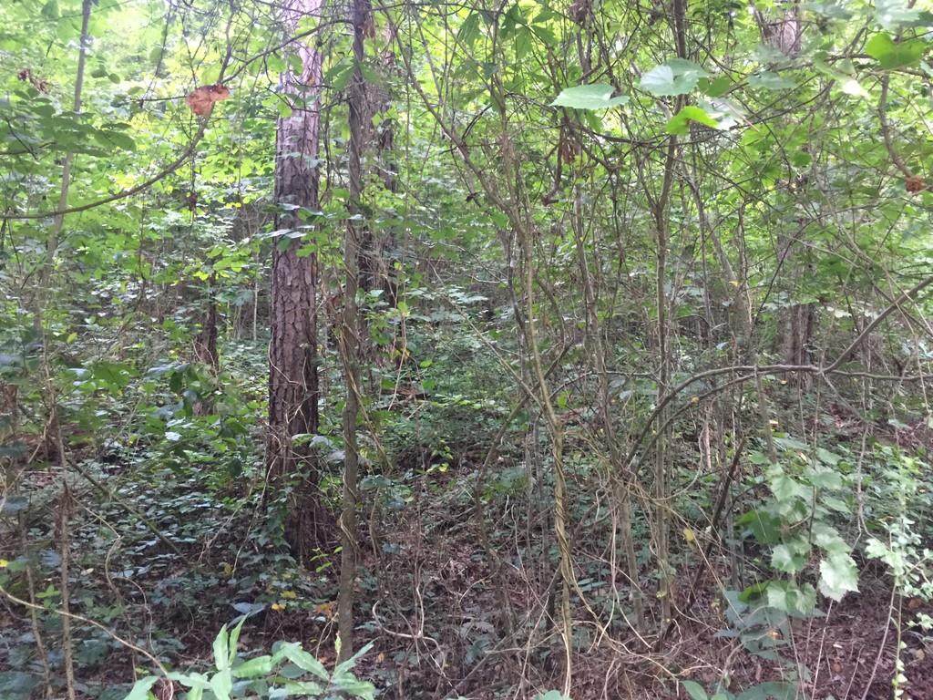 0 Valley Road - Photo 1