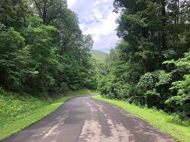 Lot 9 Mountain Loop - Photo 1