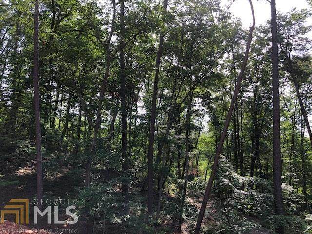2830 Horseleg Creek Road - Photo 1