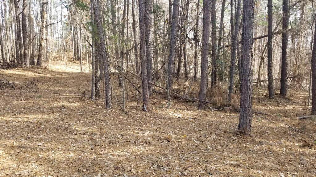 3405 Zoar Road - Photo 1