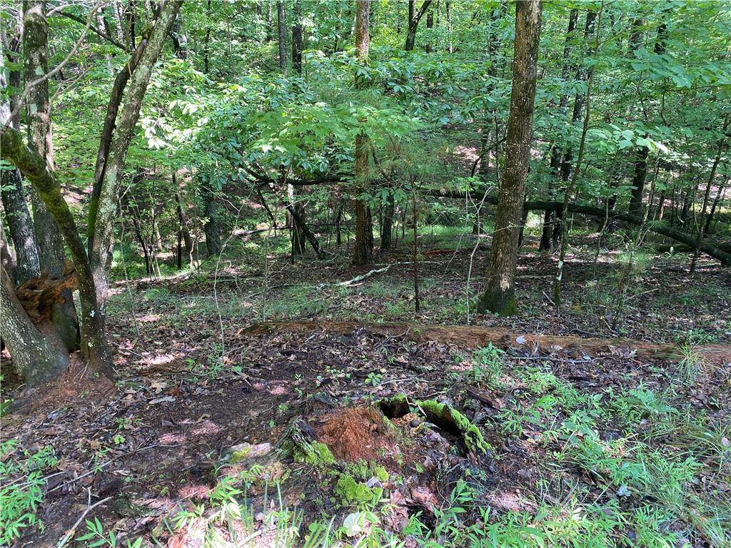 00 Oneida Circle - Photo 1