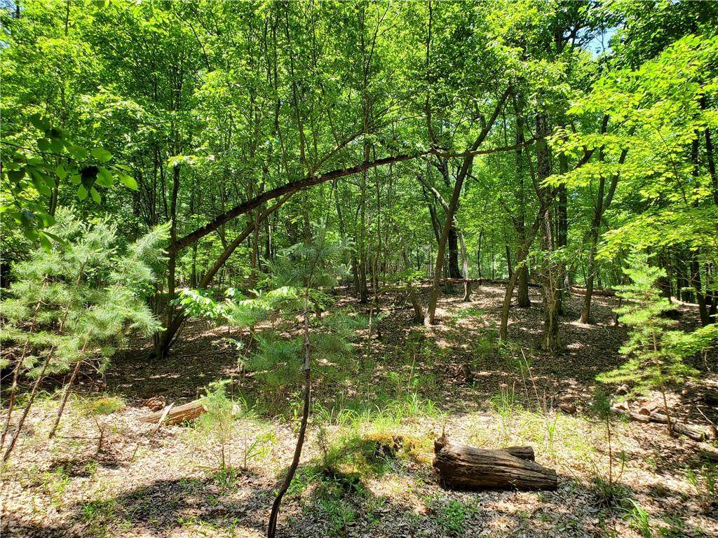 2526 Turnbury Lane - Photo 1