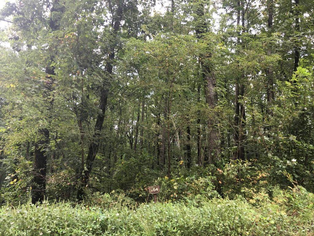 Lt 164 Trailwood Drive - Photo 1