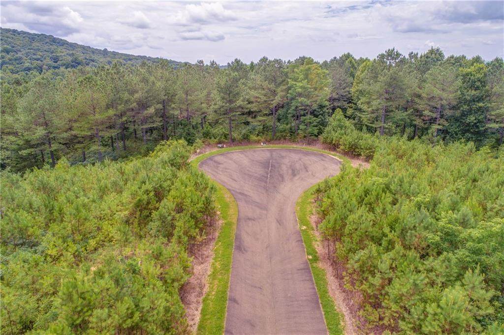 10 Eastview Trail - Photo 1