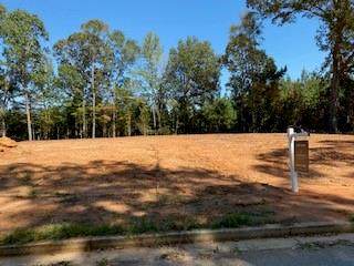 0 Wilderness Way Ridge - Photo 1