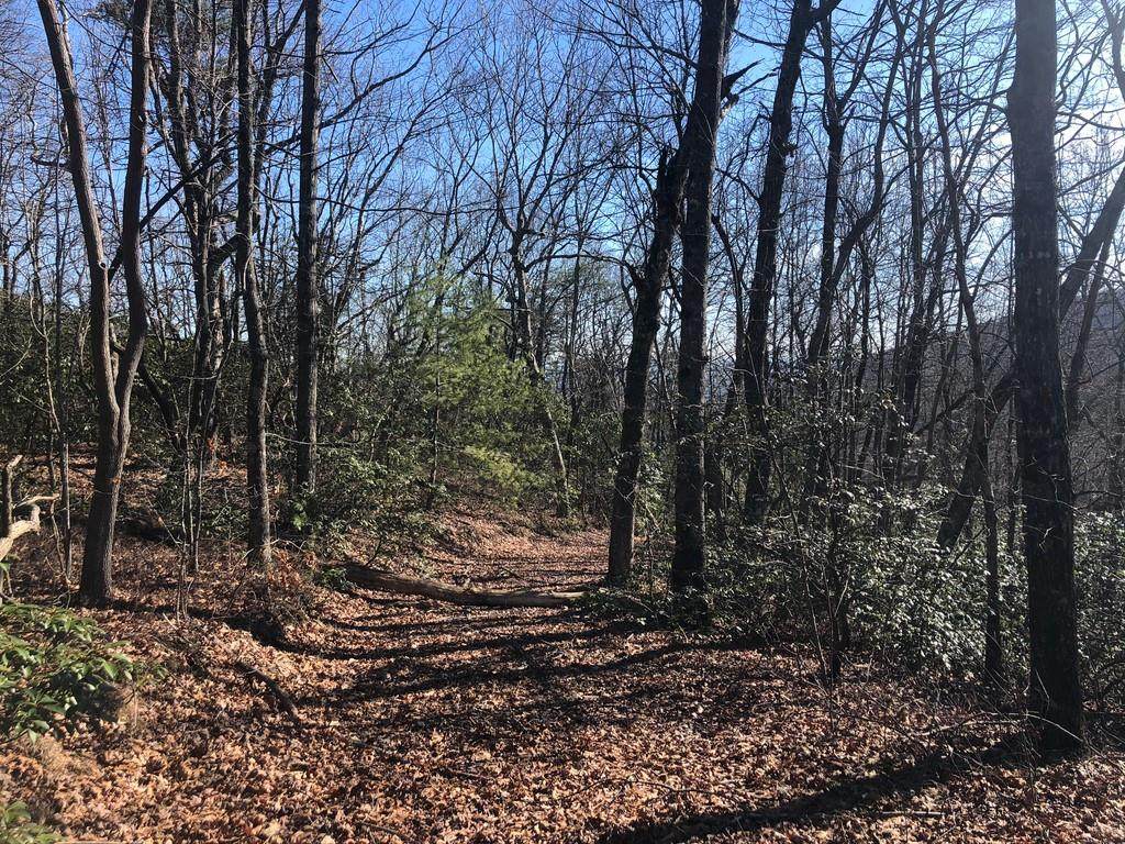 207 Mountain Laurel Lane - Photo 1