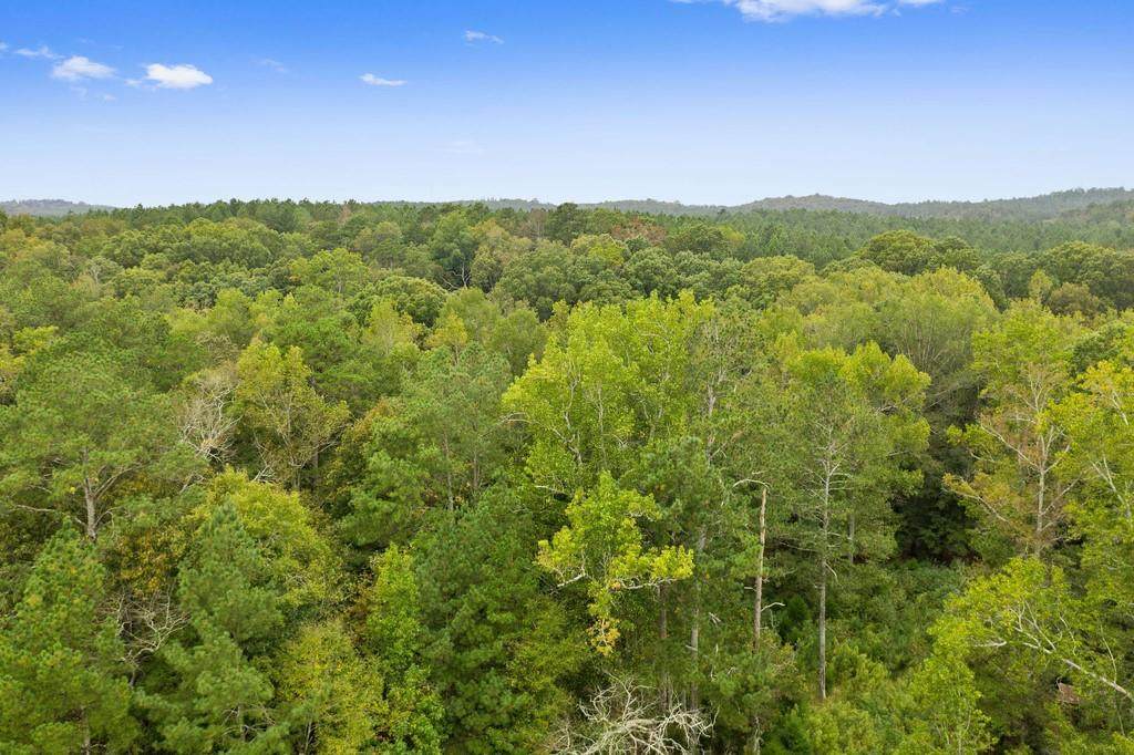 0 Cedar Lane Lane - Photo 1