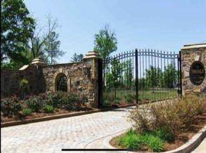 8010 Cascading Shoals - Photo 1