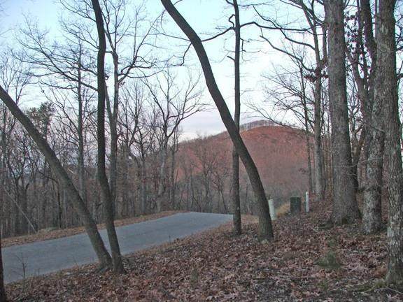 161 Sharp Mountain Parkway - Photo 1