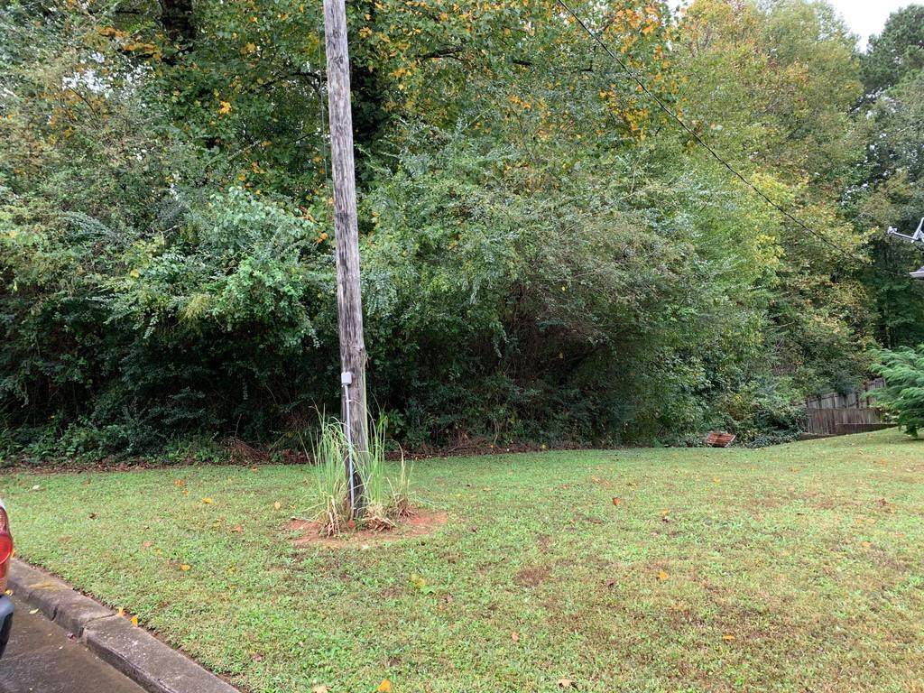 3739 Leo Ho Lane - Photo 1