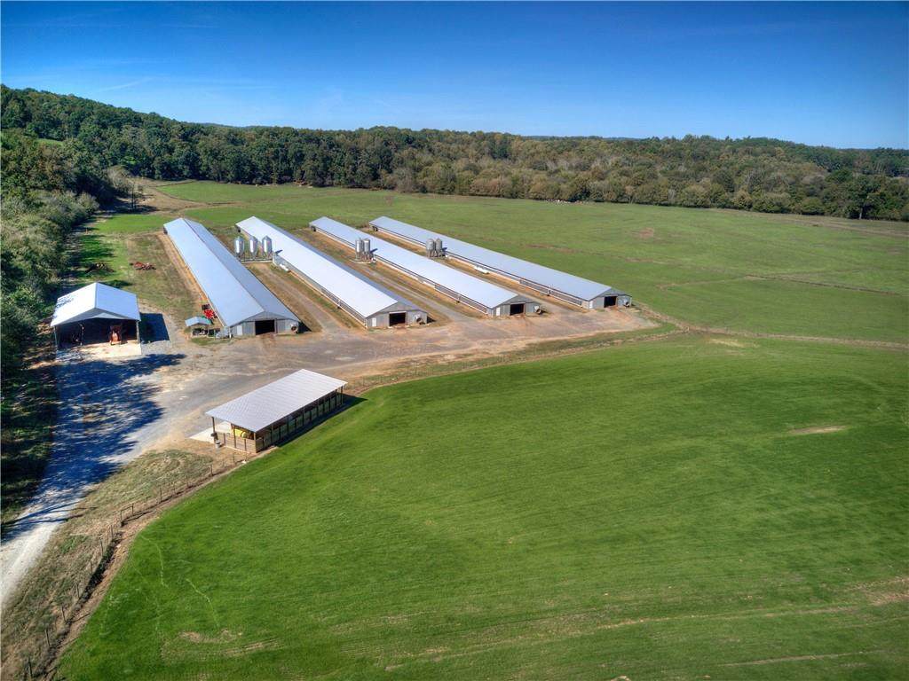 61 Holt Road - Photo 1